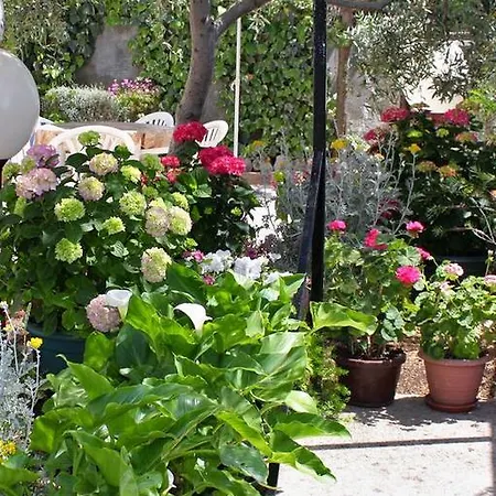 Studio Barbat 4862a * Barbat na Rabu